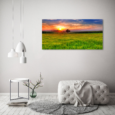 Tableau mural sur toile Coucher de soleil sur la prairie