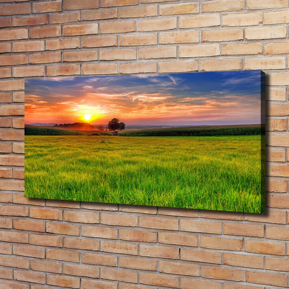 Tableau mural sur toile Coucher de soleil sur la prairie