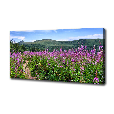 Tableau photo sur toile Collines vertes