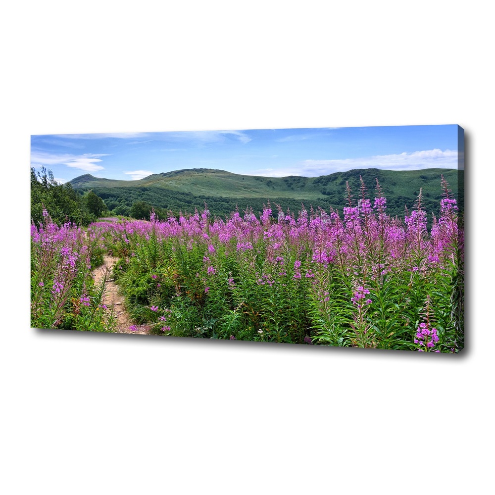 Tableau photo sur toile Collines vertes