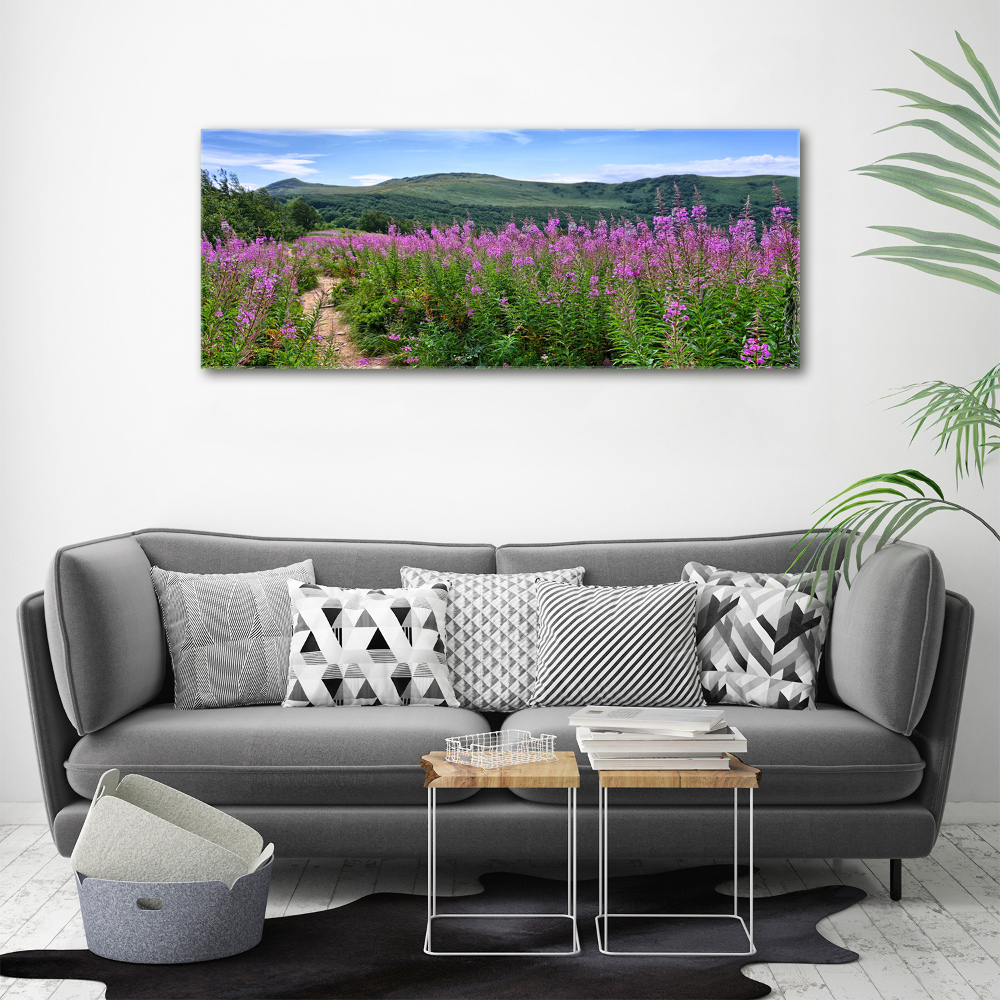 Tableau photo sur toile Collines vertes