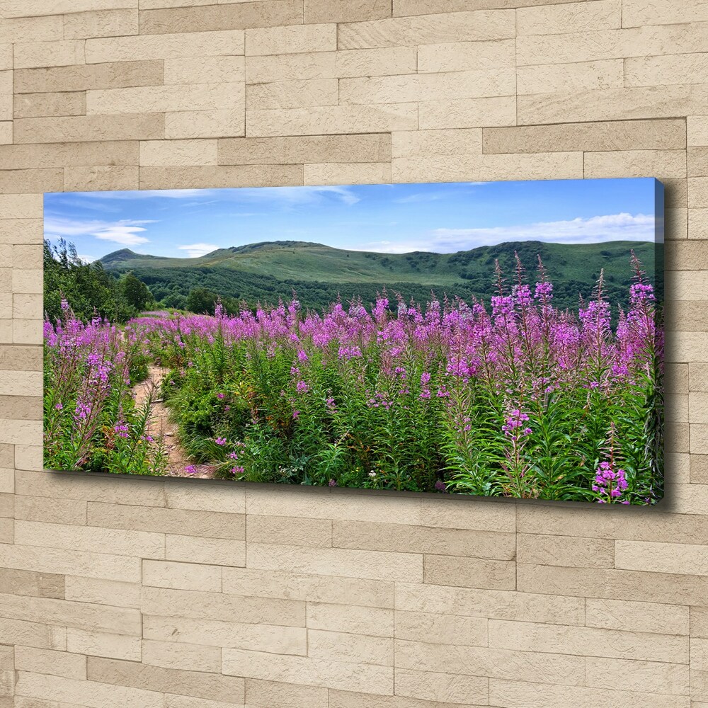 Tableau photo sur toile Collines vertes