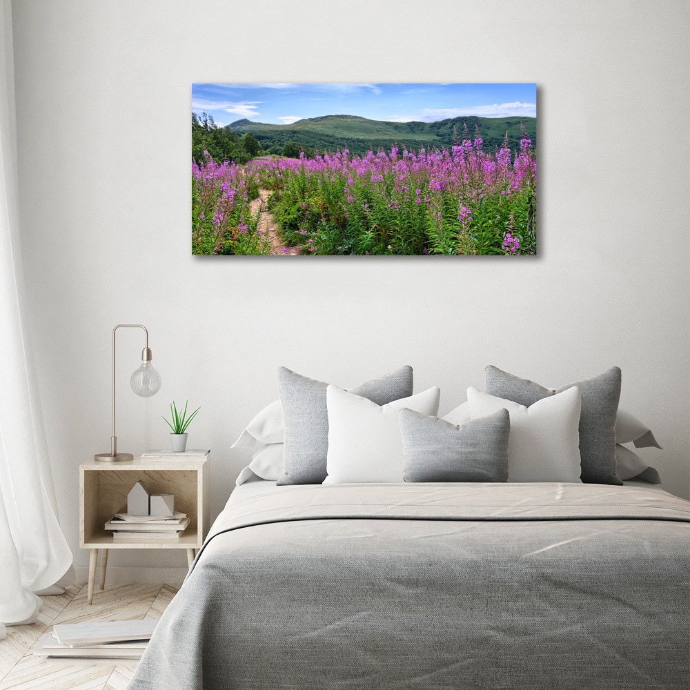 Tableau photo sur toile Collines vertes