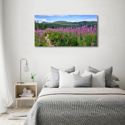 Tableau photo sur toile Collines vertes