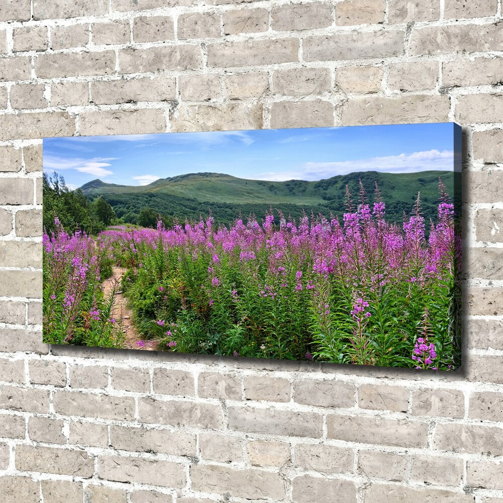 Tableau photo sur toile Collines vertes