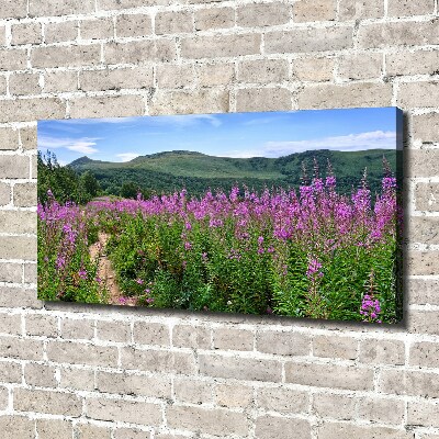 Tableau photo sur toile Collines vertes