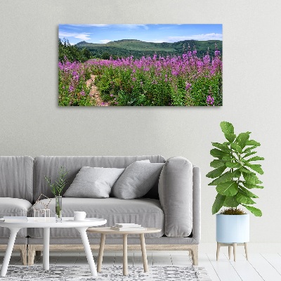 Tableau photo sur toile Collines vertes