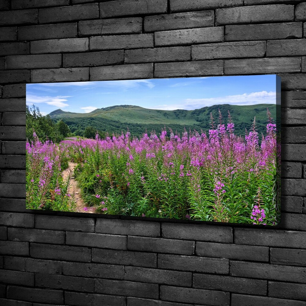 Tableau photo sur toile Collines vertes