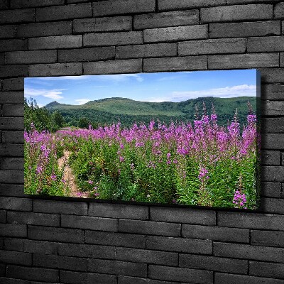 Tableau photo sur toile Collines vertes