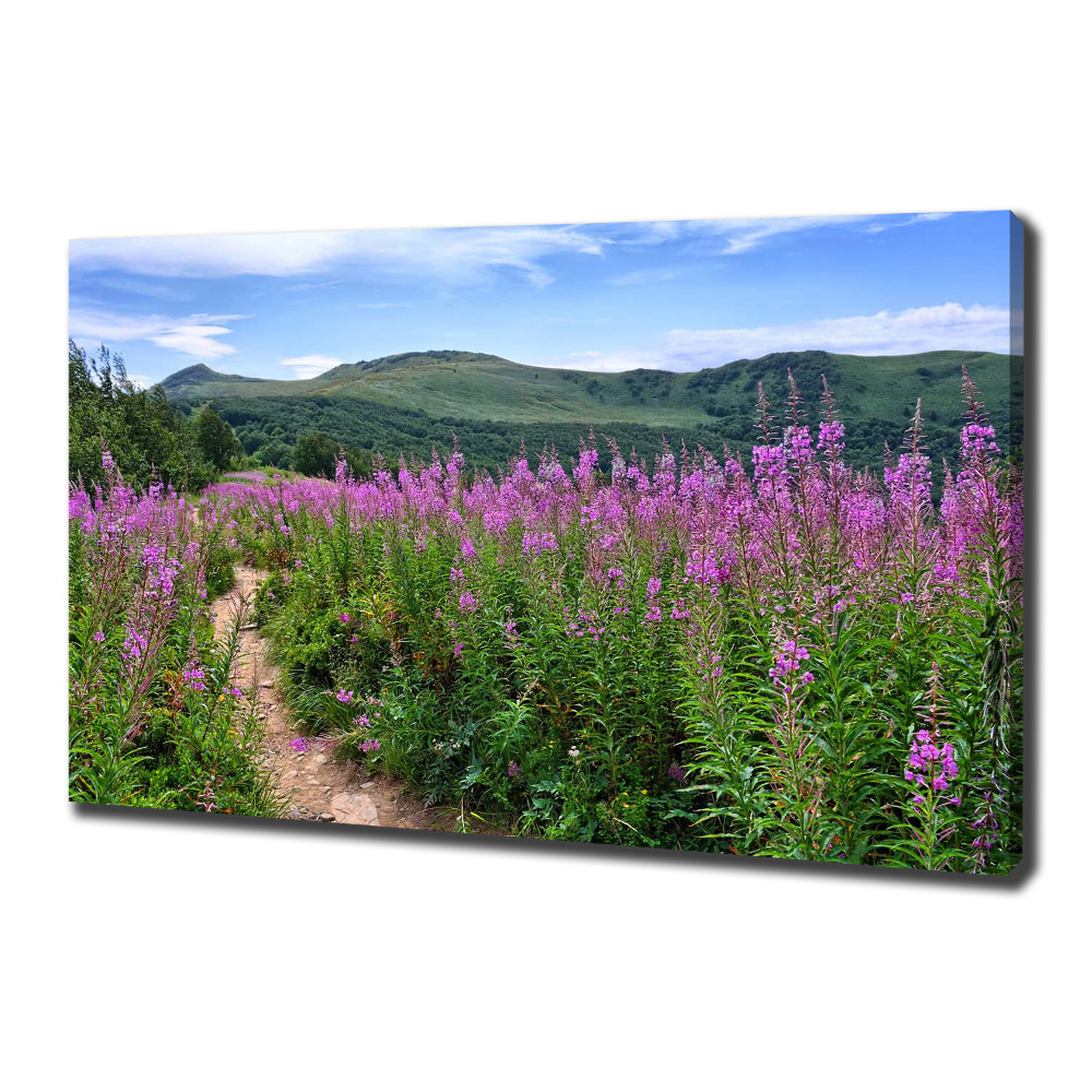 Tableau photo sur toile Collines vertes