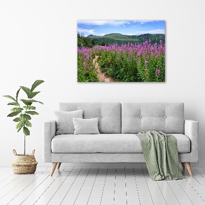 Tableau photo sur toile Collines vertes