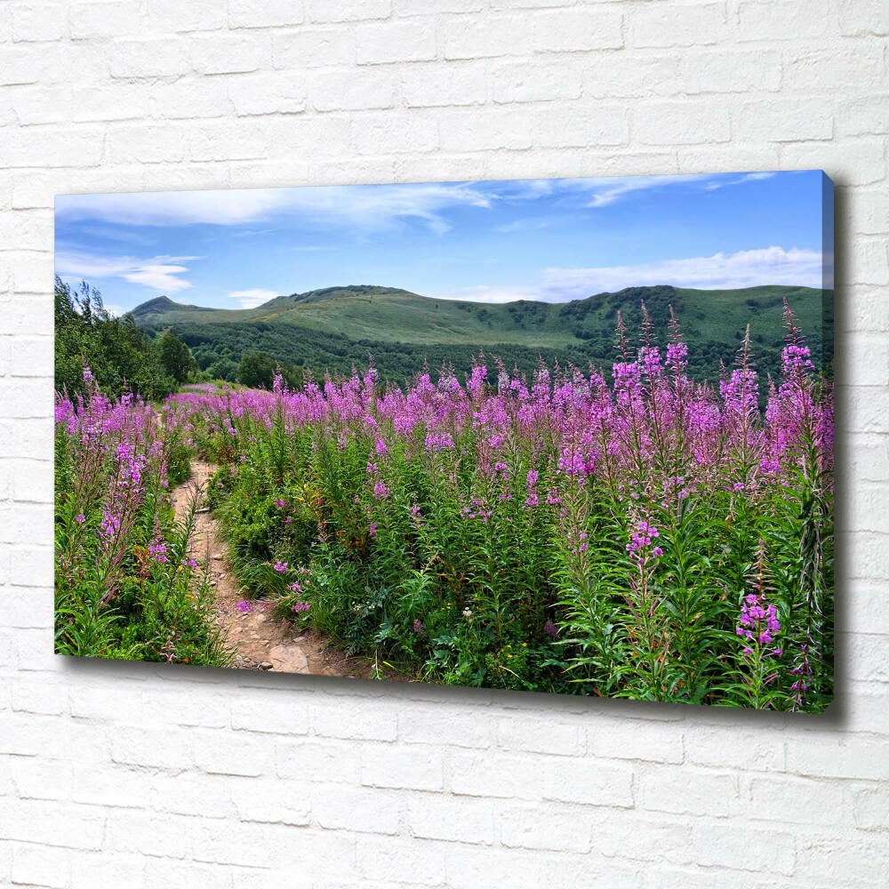 Tableau photo sur toile Collines vertes