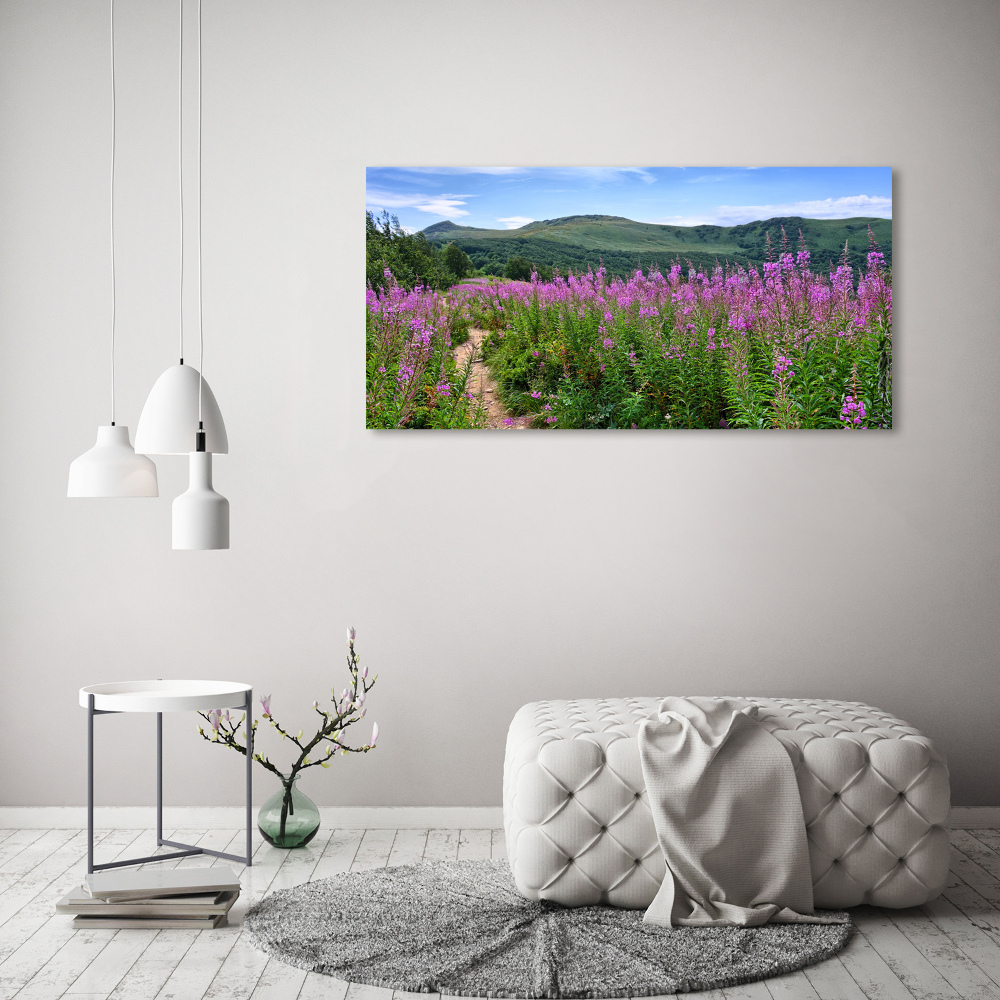 Tableau photo sur toile Collines vertes