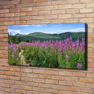 Tableau photo sur toile Collines vertes