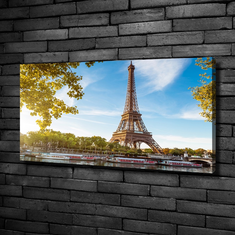 Tableau mural sur toile Tour Eiffel Paris France