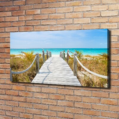 Tableau photo sur toile Chemin au bord de la mer