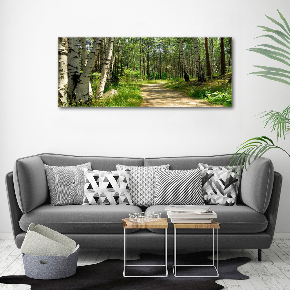 Tableau sur toile Sentier dans la forêt