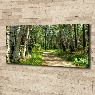 Tableau sur toile Sentier dans la forêt