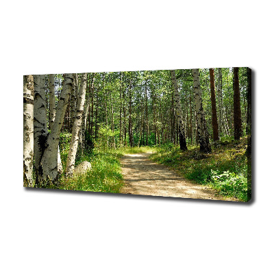 Tableau sur toile Sentier dans la forêt