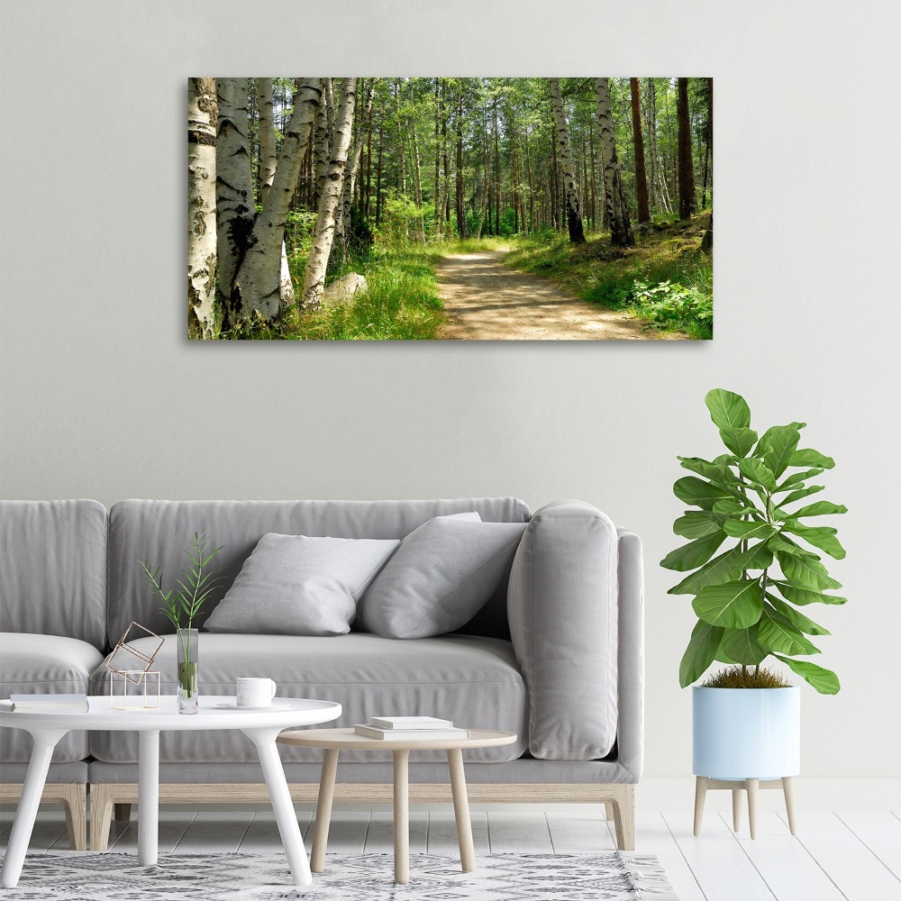 Tableau sur toile Sentier dans la forêt