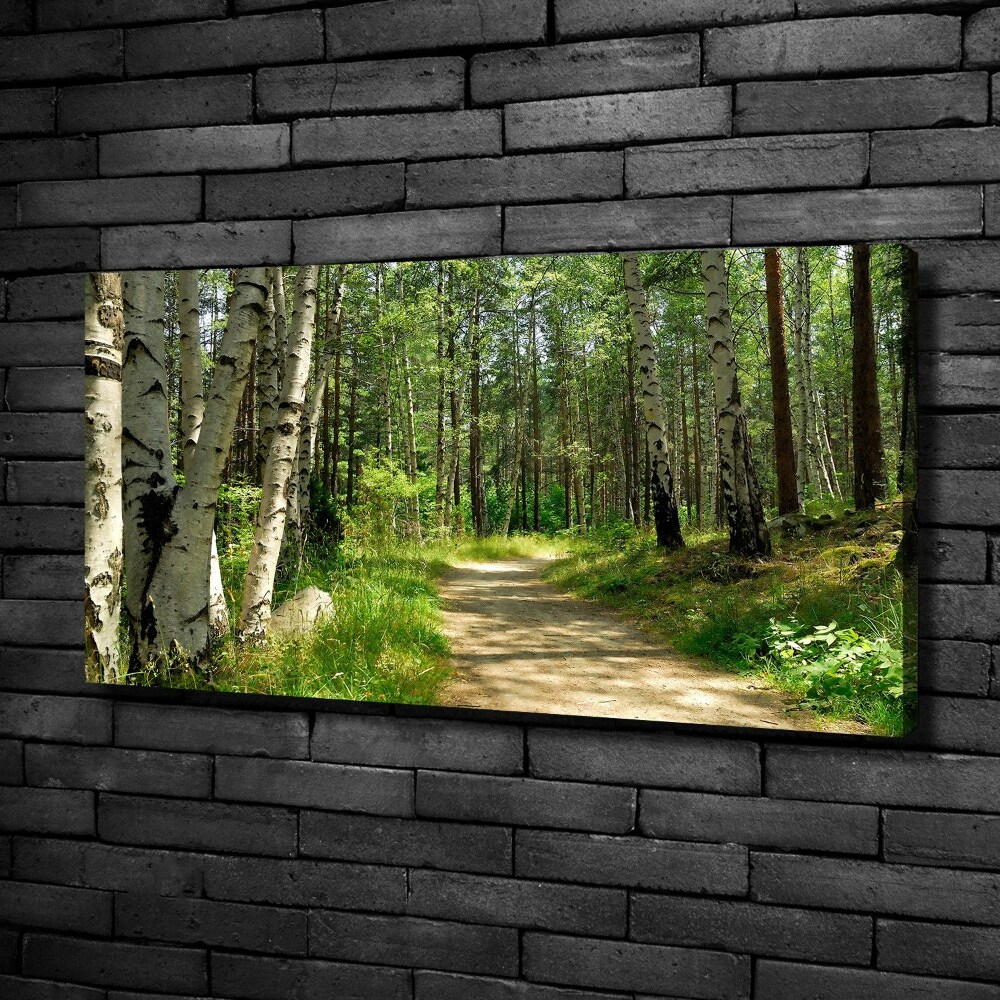 Tableau sur toile Sentier dans la forêt