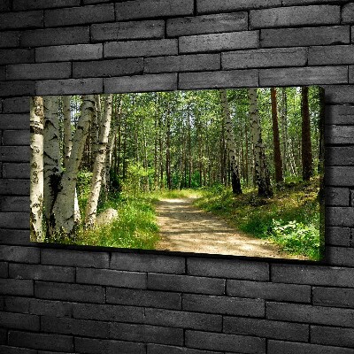 Tableau sur toile Sentier dans la forêt