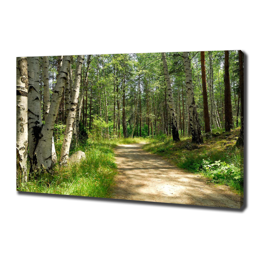 Tableau sur toile Sentier dans la forêt