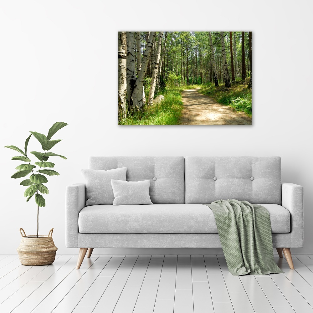 Tableau sur toile Sentier dans la forêt