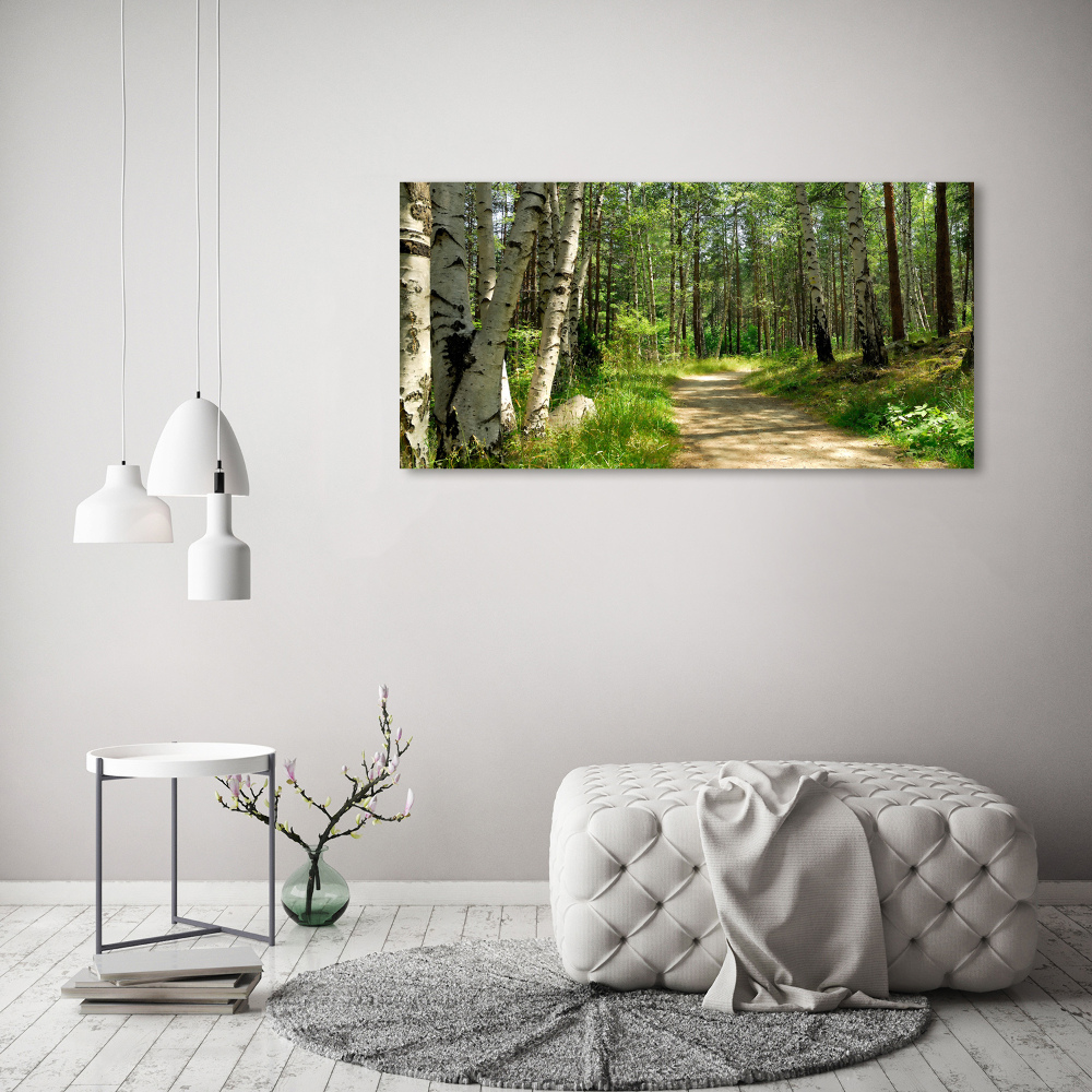 Tableau sur toile Sentier dans la forêt