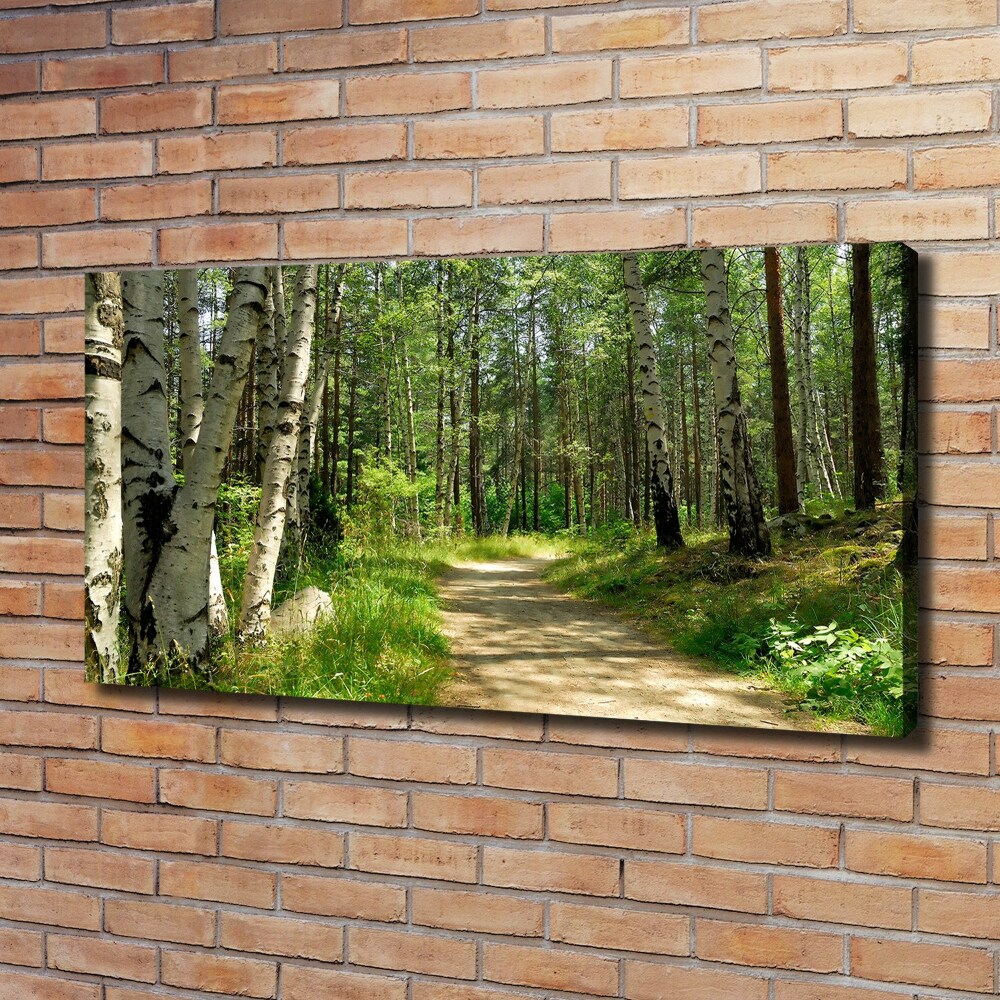 Tableau sur toile Sentier dans la forêt