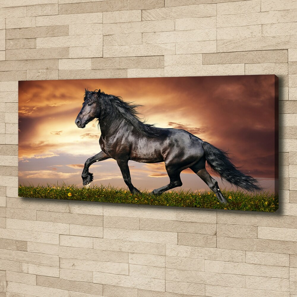 Tableau sur toile Cheval au trot