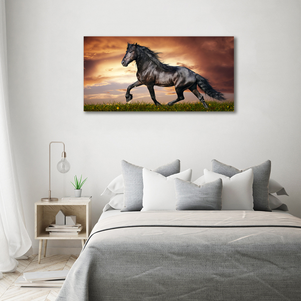 Tableau sur toile Cheval au trot