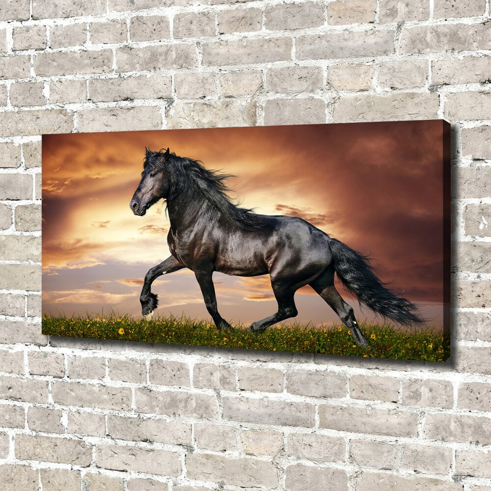 Tableau sur toile Cheval au trot