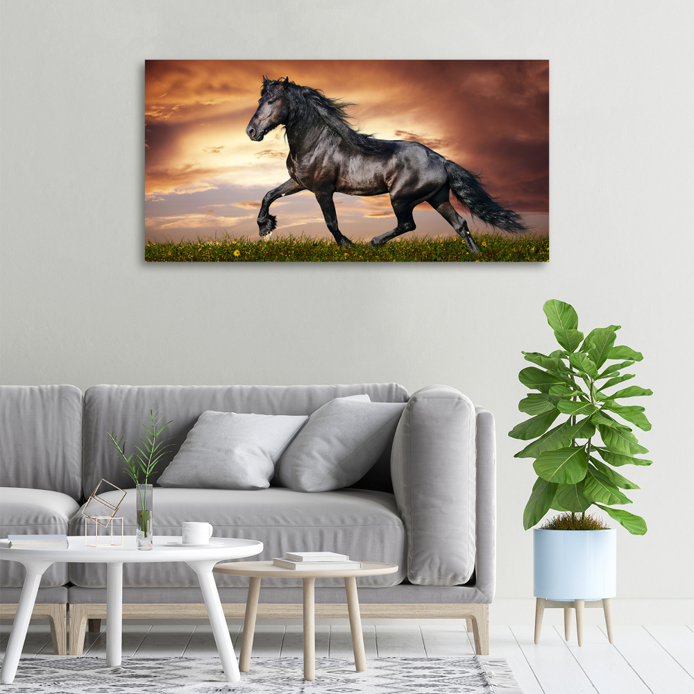 Tableau sur toile Cheval au trot