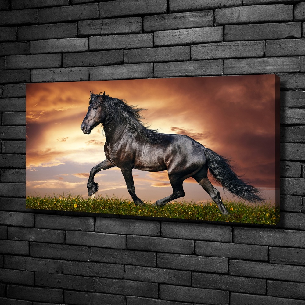 Tableau sur toile Cheval au trot