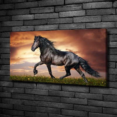 Tableau sur toile Cheval au trot