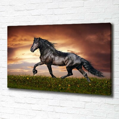 Tableau sur toile Cheval au trot