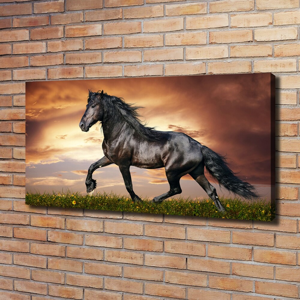 Tableau sur toile Cheval au trot