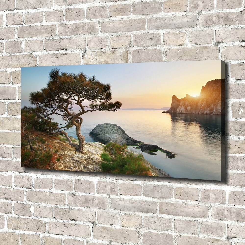 Tableau toile imprimée Arbre au bord de la mer