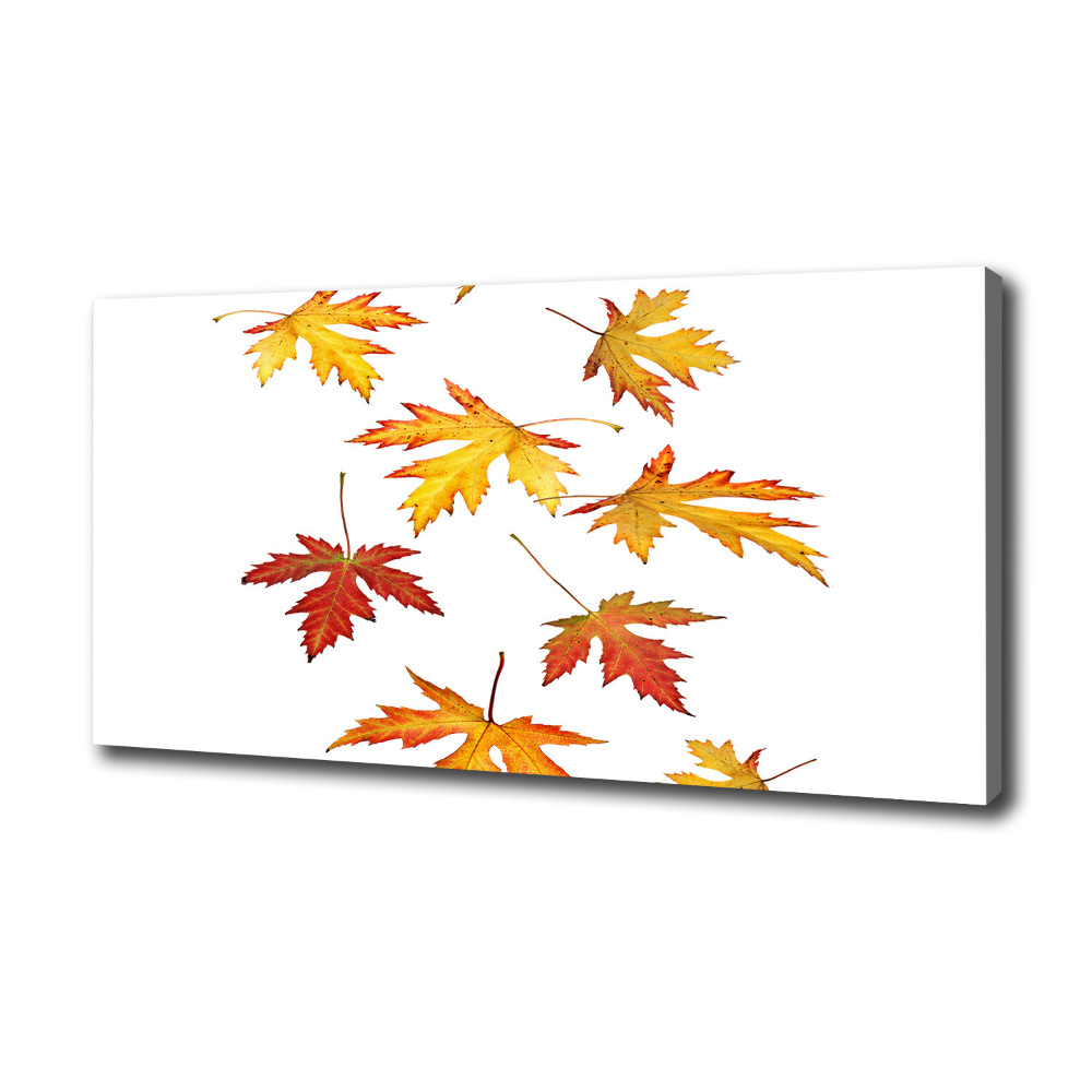 Tableau toile imprimée Feuilles d'automne