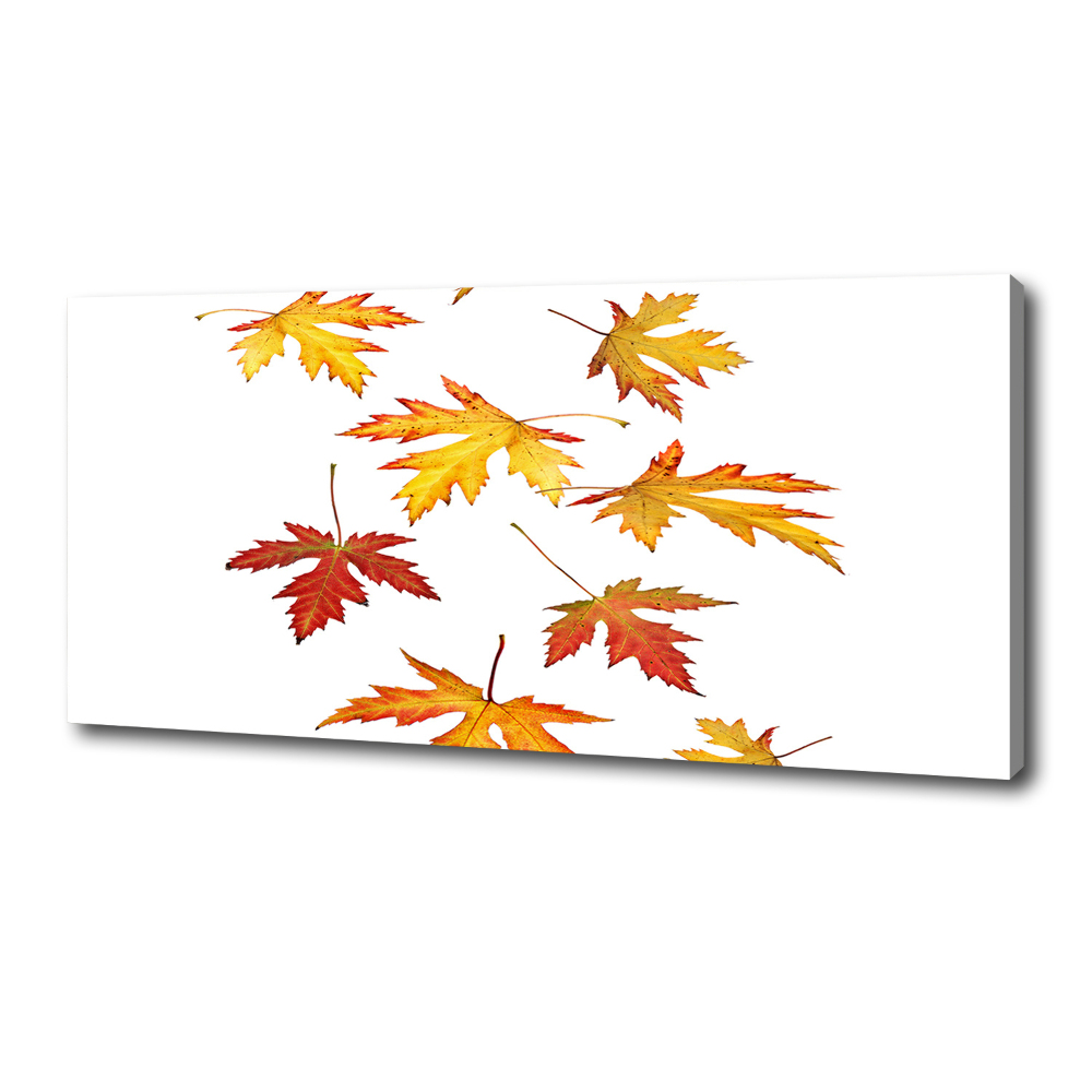 Tableau toile imprimée Feuilles d'automne