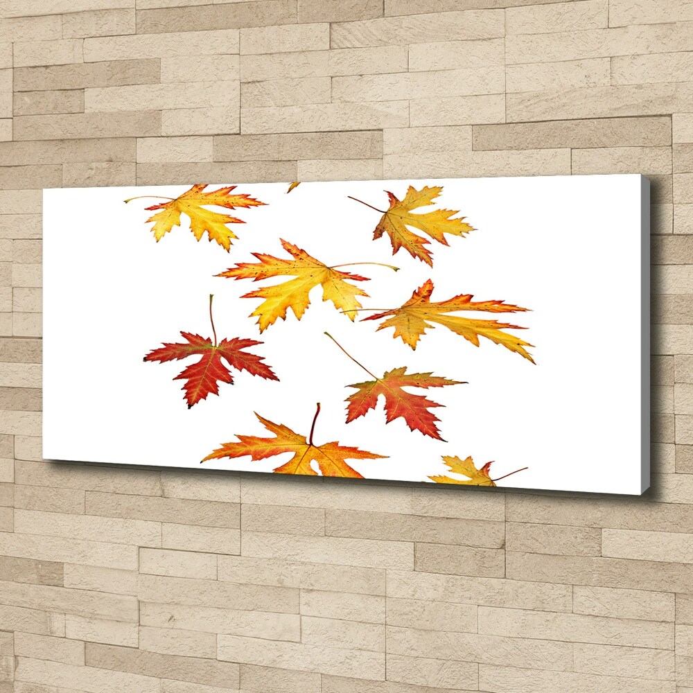 Tableau toile imprimée Feuilles d'automne