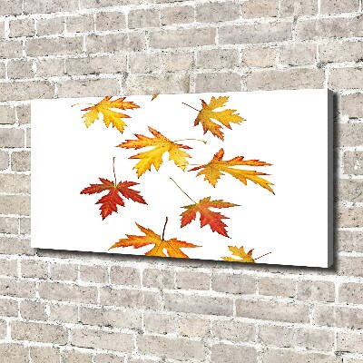 Tableau toile imprimée Feuilles d'automne