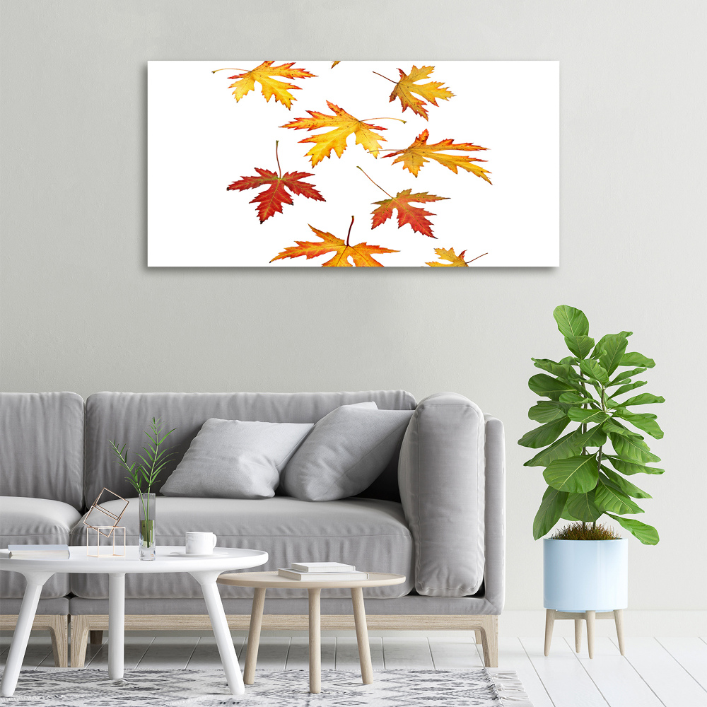 Tableau toile imprimée Feuilles d'automne