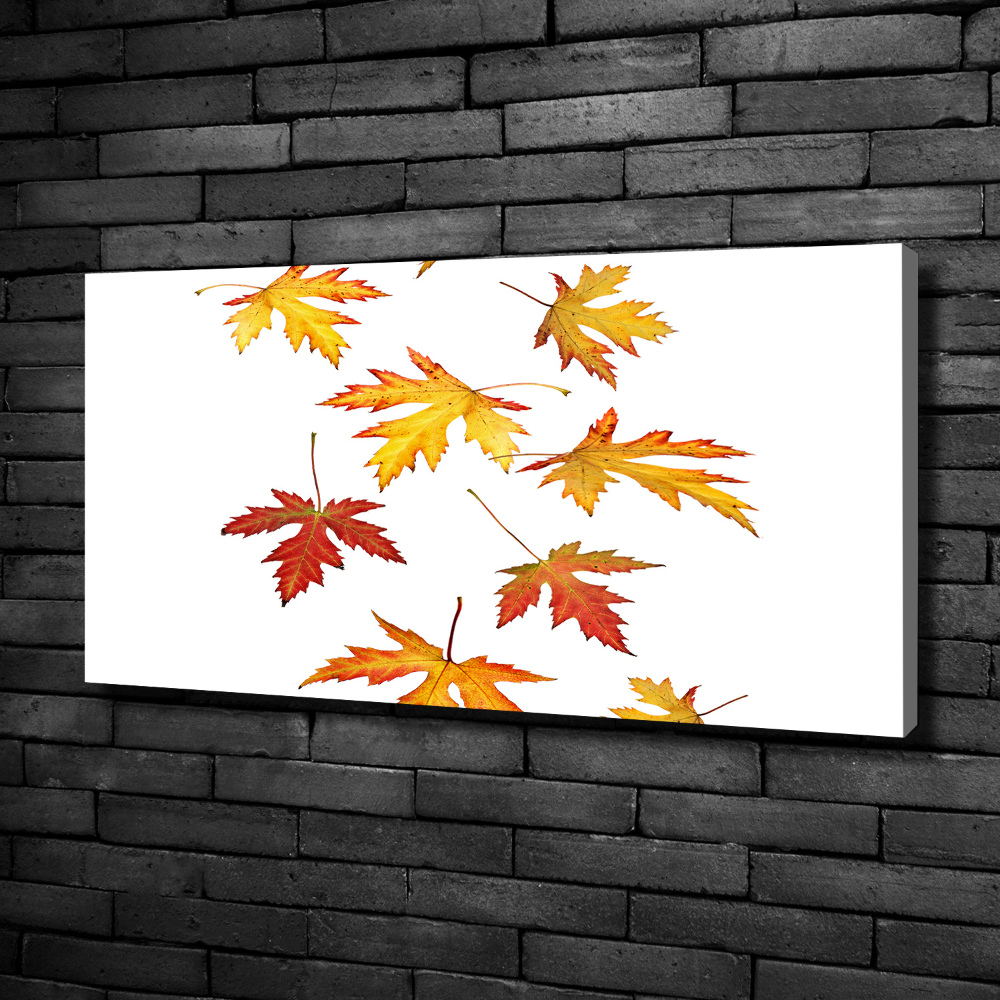 Tableau toile imprimée Feuilles d'automne