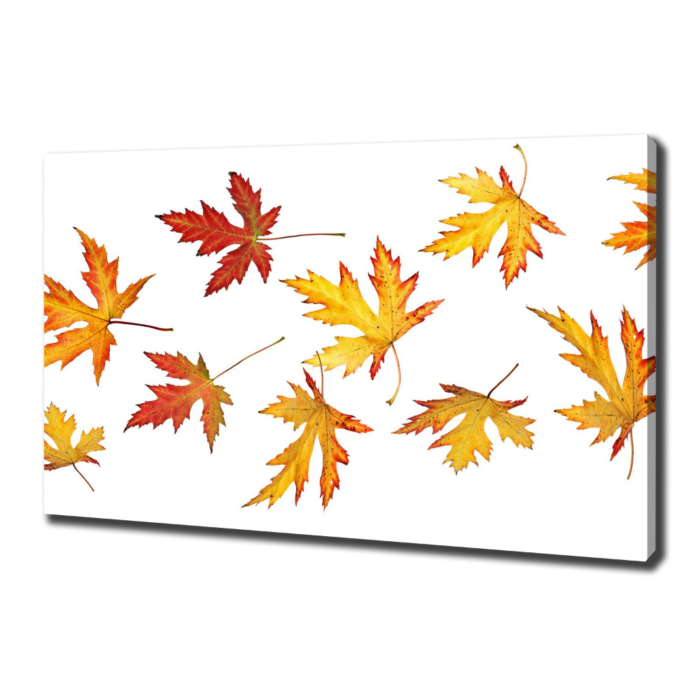 Tableau toile imprimée Feuilles d'automne