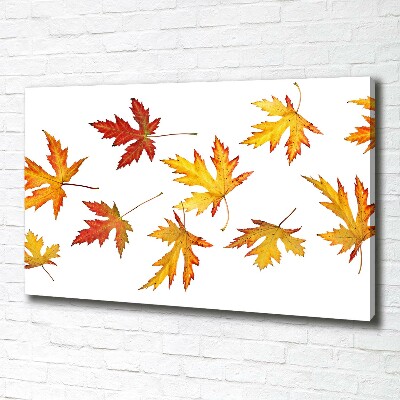 Tableau toile imprimée Feuilles d'automne