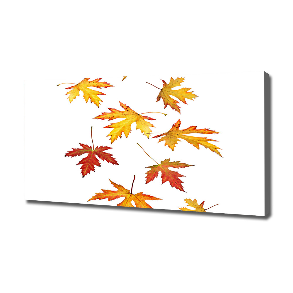 Tableau toile imprimée Feuilles d'automne