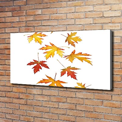 Tableau toile imprimée Feuilles d'automne