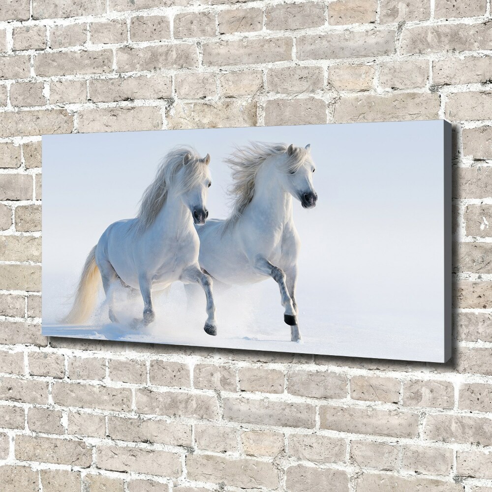 Tableau mural sur toile Deux chevaux dans la neige